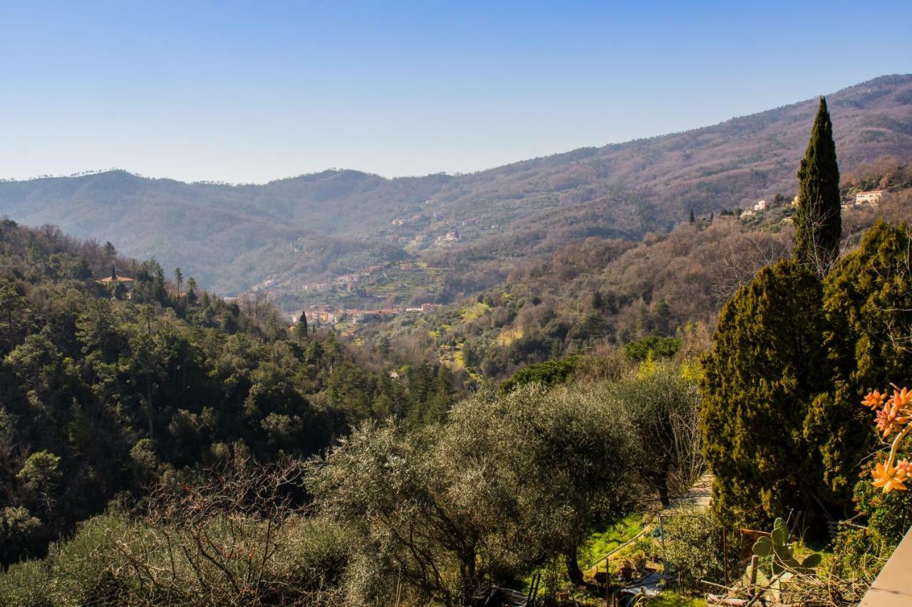 Agriturismo A Cà Vegia Vila Calice Ligure Exterior foto